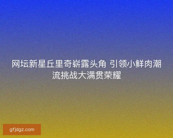 网坛新星丘里奇崭露头角 引领小鲜肉潮流挑战大满贯荣耀