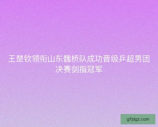 王楚钦领衔山东魏桥队成功晋级乒超男团决赛剑指冠军