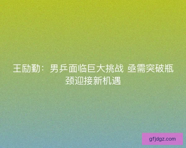 王励勤：男乒面临巨大挑战 亟需突破瓶颈迎接新机遇